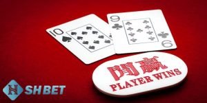 phương pháp chơi baccarat